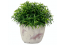 Plante grasse artificielle MM