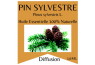 Huile essentielle Pin