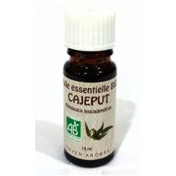 Huile Essentielle de Cajeput BIO