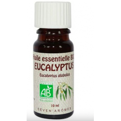 Huile Essentielle Eucalyptus globulus BIO