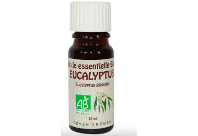 Huile Essentielle Eucalyptus globulus BIO
