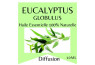 Huile essentielle eucalyptus