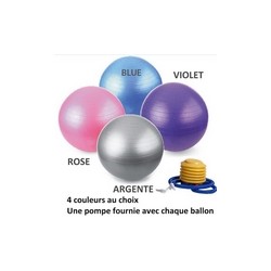 Ballon de Yoga 65 cm